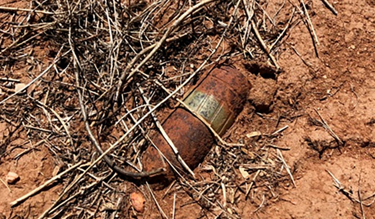 250 Kilogramm schwere US-Bombe bei Bauarbeiten in Mainzer Park gefunden