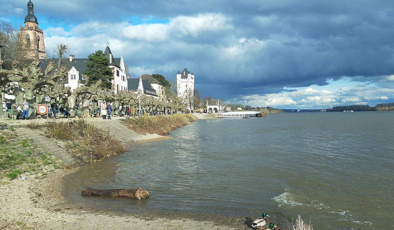 Eltville erneuert Rheinufergeländer und verknüpft Denkmalschutz mit moderanter Sicherheit