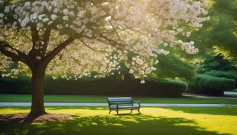 Selbstbestimmungsgesetz: Zwiespältige Bilanz nach einem Jahr Selbstbestimmungsgesetz: Zwiespältige Bilanz nach einem Jahr