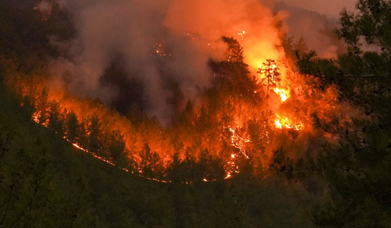 Waldbrandgefahr erreicht höchste Stufe: Grillplätze bleiben geschlossen, landesweite Alarmstufe aktiv Waldbrandgefahr erreicht höchste Stufe: Grillplätze bleiben geschlossen, landesweite Alarmstufe aktiv