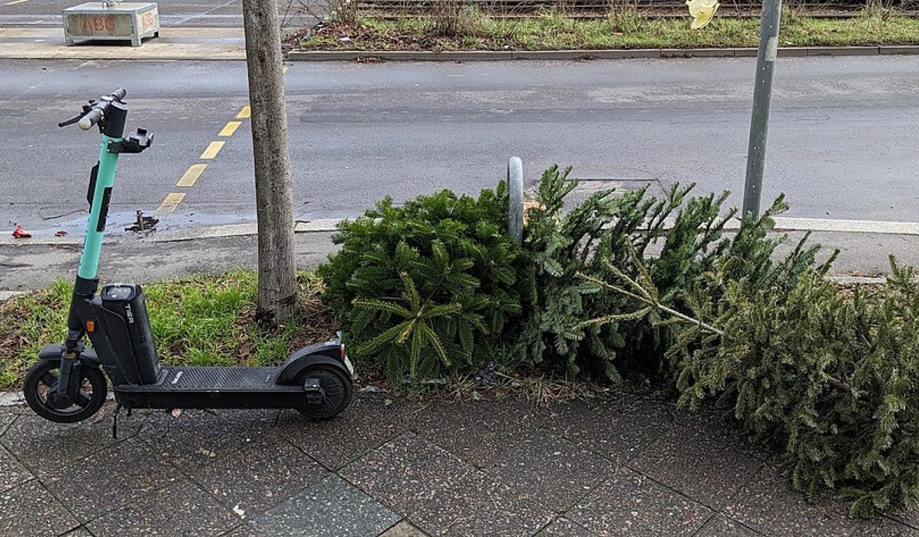 Wiesbaden kündigt Abholung ausgedienter Weihnachtsbäume an: Termine, Regeln, Ausnahmen